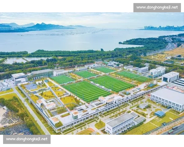 闽超联赛出鞘：福建剑指苏超打造区域足球新标杆